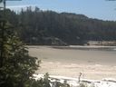 ./images/calvert/beach/20190607/beach20190607_110501.jpg