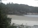 ./images/calvert/beach/20190608/beach20190608_090502.jpg
