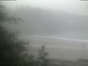 ./images/calvert/beach/20190617/beach20190617_111002.jpg