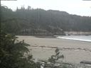 ./images/calvert/beach/20190624/beach20190624_112502.jpg