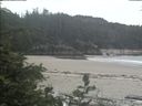 ./images/calvert/beach/20190624/beach20190624_122502.jpg