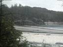./images/calvert/beach/20190703/beach20190703_051006.jpg