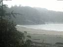 ./images/calvert/beach/20190710/beach20190710_053003.jpg