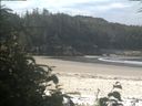 ./images/calvert/beach/20190721/beach20190721_100503.jpg