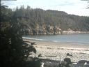 ./images/calvert/beach/20190721/beach20190721_190503.jpg