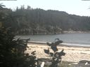 ./images/calvert/beach/20190722/beach20190722_184502.jpg