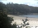 ./images/calvert/beach/20190723/beach20190723_100502.jpg