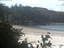 ./images/calvert/beach/20190723/beach20190723_101003.jpg