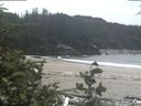 ./images/calvert/beach/20190727/beach20190727_142503.jpg