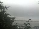 ./images/calvert/beach/20190804/beach20190804_133503.jpg