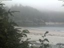 ./images/calvert/beach/20190805/beach20190805_141503.jpg