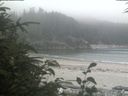 ./images/calvert/beach/20190805/beach20190805_143503.jpg