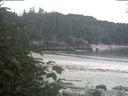 ./images/calvert/beach/20190807/beach20190807_110503.jpg