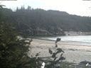 ./images/calvert/beach/20190810/beach20190810_160504.jpg