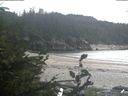./images/calvert/beach/20190810/beach20190810_161504.jpg