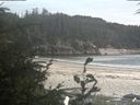 ./images/calvert/beach/20190810/beach20190810_172502.jpg