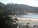 ./images/calvert/beach/20190813/beach20190813_174004.jpg