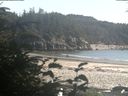 ./images/calvert/beach/20190814/beach20190814_175003.jpg