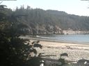 ./images/calvert/beach/20190814/beach20190814_181503.jpg