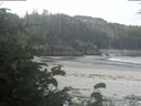 ./images/calvert/beach/20190816/beach20190816_090504.jpg