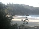 ./images/calvert/beach/20190821/beach20190821_091501.jpg