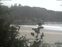 ./images/calvert/beach/20190821/beach20190821_124002.jpg