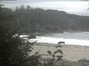 ./images/calvert/beach/20190823/beach20190823_195001.jpg
