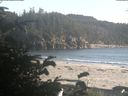 ./images/calvert/beach/20190825/beach20190825_184503.jpg