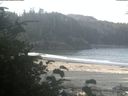 ./images/calvert/beach/20190826/beach20190826_092002.jpg