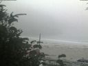 ./images/calvert/beach/20190827/beach20190827_195503.jpg