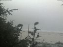 ./images/calvert/beach/20190829/beach20190829_142501.jpg