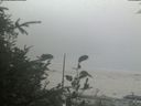 ./images/calvert/beach/20190829/beach20190829_154502.jpg