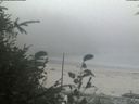 ./images/calvert/beach/20190829/beach20190829_163002.jpg