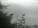 ./images/calvert/beach/20190829/beach20190829_170003.jpg