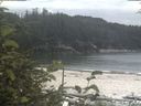 ./images/calvert/beach/20190830/beach20190830_135502.jpg