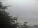 ./images/calvert/beach/20190902/beach20190902_202003.jpg