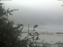 ./images/calvert/beach/20190905/beach20190905_124503.jpg