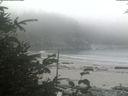./images/calvert/beach/20190905/beach20190905_141003.jpg