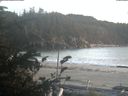 ./images/calvert/beach/20191004/beach20191004_183502.jpg