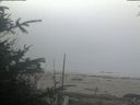 ./images/calvert/beach/20191105/beach20191105_080002.jpg