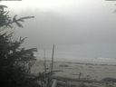 ./images/calvert/beach/20191105/beach20191105_094502.jpg