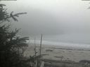 ./images/calvert/beach/20191106/beach20191106_110503.jpg