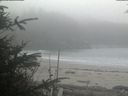 ./images/calvert/beach/20191106/beach20191106_114003.jpg