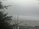 ./images/calvert/beach/20191106/beach20191106_122501.jpg