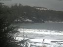 ./images/calvert/beach/20200109/beach20200109_101002.jpg