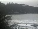 ./images/calvert/beach/20200109/beach20200109_120502.jpg