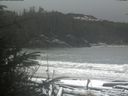 ./images/calvert/beach/20200109/beach20200109_123501.jpg