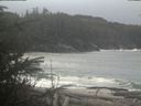 ./images/calvert/beach/20200110/beach20200110_115503.jpg