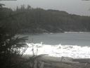 ./images/calvert/beach/20200110/beach20200110_121002.jpg