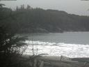 ./images/calvert/beach/20200110/beach20200110_133503.jpg